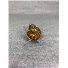 Image 2 : GENUINE AMMONITE FOSSIL RETAIL $898 APPROX 2"X1.5"