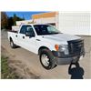 Image 2 : 2010 FORD F150, WHITE, GAS, AUTOMATIC, PICKUP, VIN 1FTVX1EV0AKB12881, 189,955KMS,