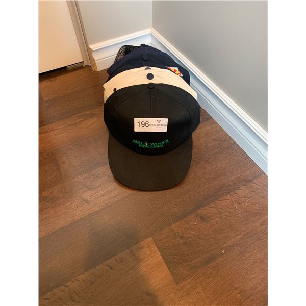 Collection of Ball Caps Approx 10pcs