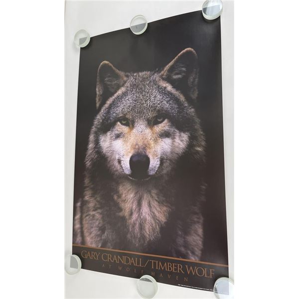 Gary Crandall Timber Wolf Print