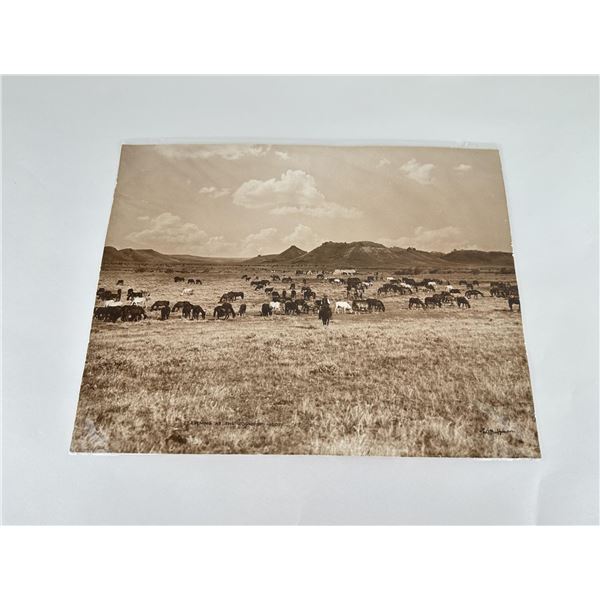 Evening at the Roundup