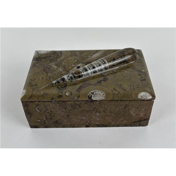 Fossil Stone Box