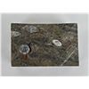 Image 4 : Fossil Stone Box