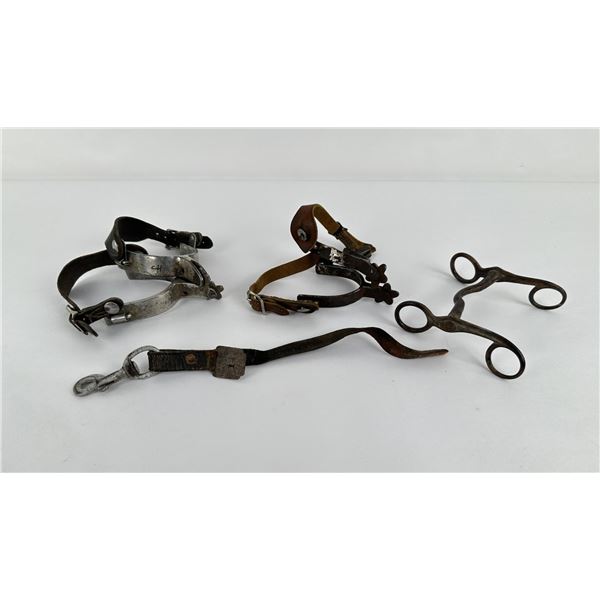 Buck's Transfer Helena Montana Territory