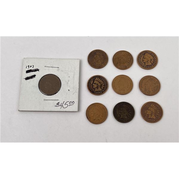 Collection of Indian Head Pennies
