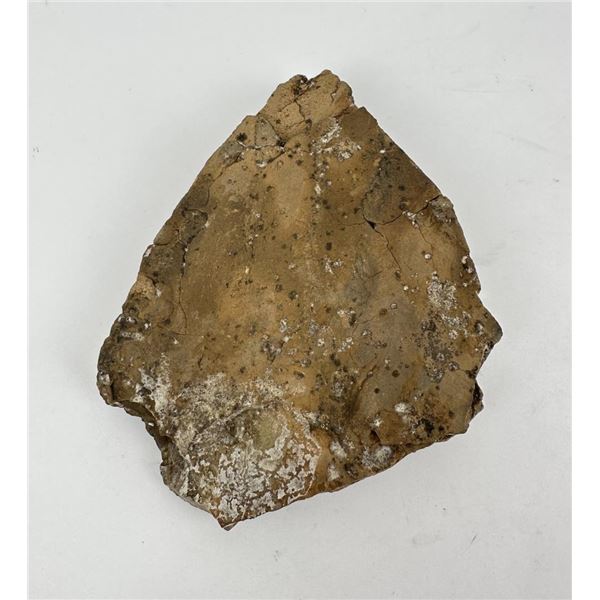 Early Human Fossil Footprint