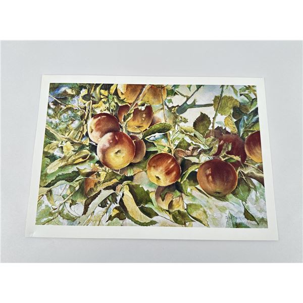 Doris Anderson Print