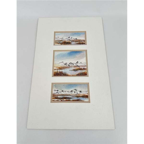 Doris Anderson Watercolor Paintings