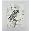 Image 1 : Ron Jenkins Montana Owl Print