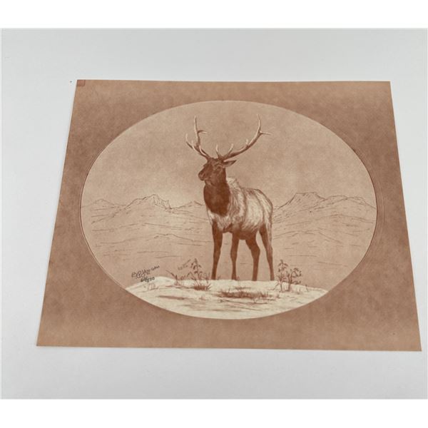 B.P. Jensen Elk Print