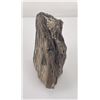 Image 2 : Petrified Wood Specimen