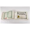 Image 8 : Ambergris Consolidated Mining Co. Idaho Stock Book