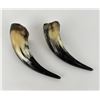 Image 1 : Pair of Steer Horns
