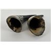 Image 3 : Pair of Steer Horns