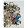 Image 3 : Collection of Costume Jewelry