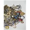 Image 3 : Collection of Costume Jewelry