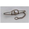 Image 1 : Miniature Victor Double Spring Animal Trap