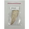 Image 3 : Ancient Native American Indian Arrowhead