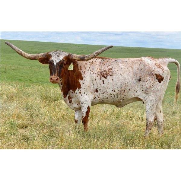 ETERNALLY LUCKY BEAST