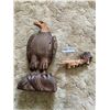 Image 1 : Carved Eagle Wood Statue 14T