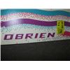 Image 2 : PAIR OF O'BRIEN WATER SKIS W/GLOVES