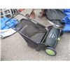 Image 1 : PUSH LAWN SWEEPER