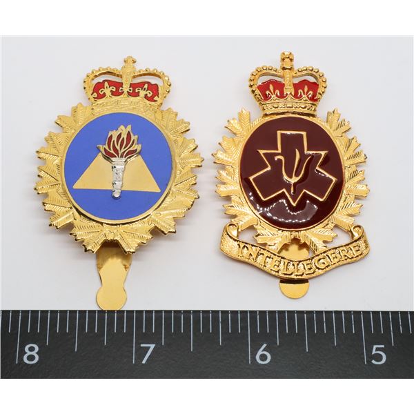 #437 PAIR CANADIAN FORCES BADGES TRAINING PERSONAL