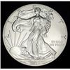 Image 1 : 2016 American Silver Eagle