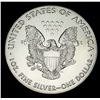 Image 2 : 2016 American Silver Eagle