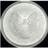 Image 2 : 2002 American Silver Eagle