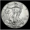 Image 1 : 2016 American Silver Eagle