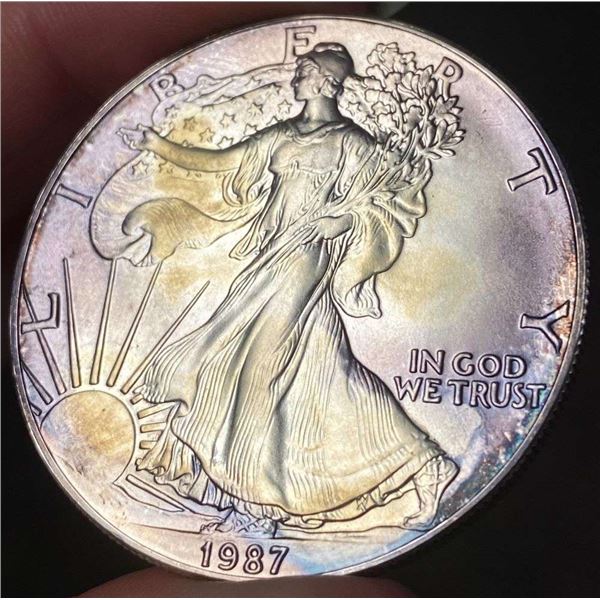 Toned 1987 American Silver Eagle