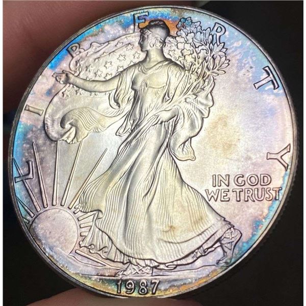 Toned 1987 American Silver Eagle