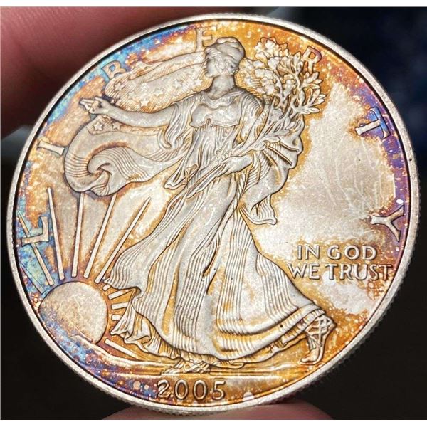 Toned 2005 American Silver Eagle