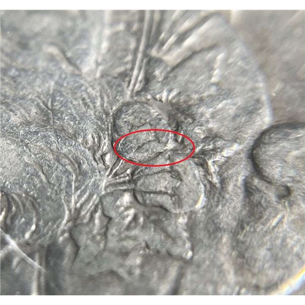 1878 7TF Morgan Silver Dollar SEGS VF20 Details VAM-115