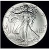 Image 1 : 1987 American Silver Eagle