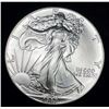 Image 1 : 1987 American Silver Eagle