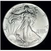 Image 1 : 1987 American Silver Eagle