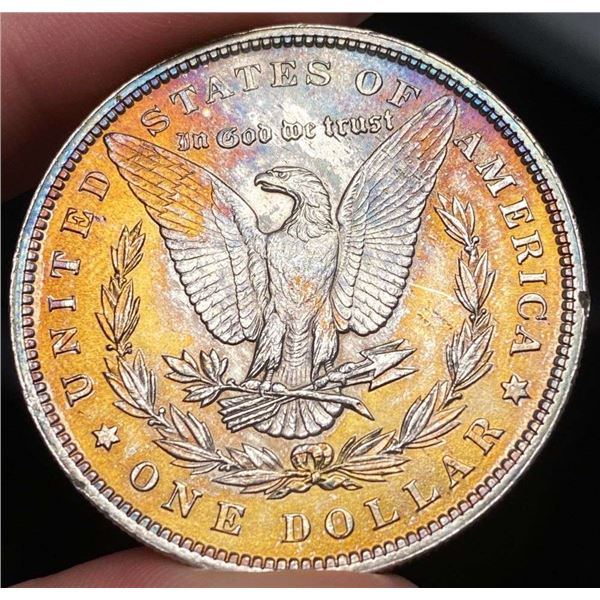 Toned Reverse 1896 Morgan Silver Dollar