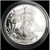 Image 3 : 2003-W American Silver Eagle PF69