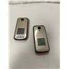 Image 1 : Group of 2 Dacomo P-01F (silver) phones - without chargers