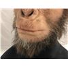 Image 8 : "Planet of The Apes" Movie - Original Caesar Prototype Lifelike Display Face w/ stand. This prototyp