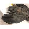 Image 2 : Partially taxidermized bald eagle prop. Used as a prop in multiple movies.