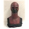 Image 1 : "The Flash" TV Series - Original screen-worn Season 1-3 Barry Allen (The Flash) Hero cowl/mask by Bi