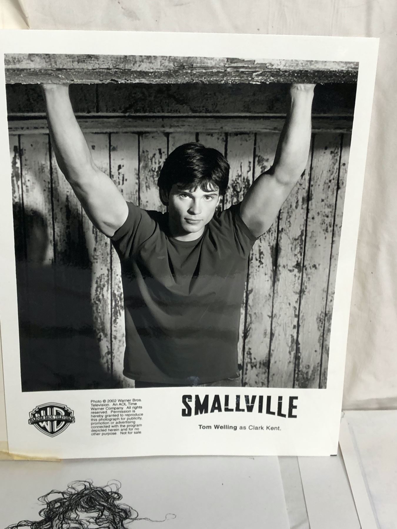 Revealed: The Life And Career Of Bill Terezakis - 1s45kvo