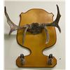 Image 2 : 1B Mounted Deer Antlers & hoofs - Mounted by John A. Larigakis (Vancouver, BC, Canada) - 26 1/2in Le