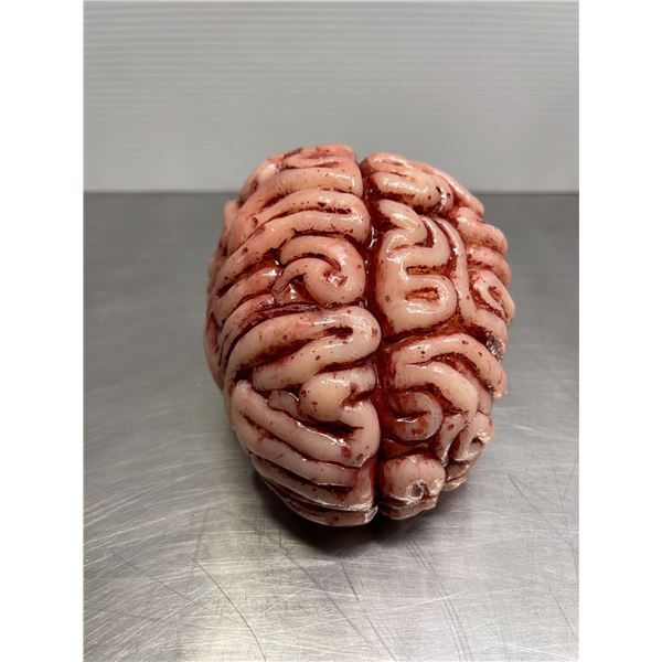 Realistic life-like prop brain