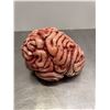 Image 2 : Realistic life-like prop brain