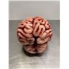 Image 3 : Realistic life-like prop brain