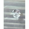 Image 2 : SWAROVSKI BABY TORTOISE